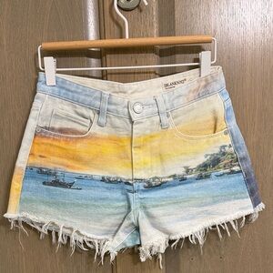 Blank NYC Multicolor Scenic Denim Shorts size 25